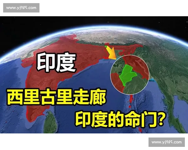 印度VS全球产业链重构背景下的新竞争格局与战略走向前瞻观察